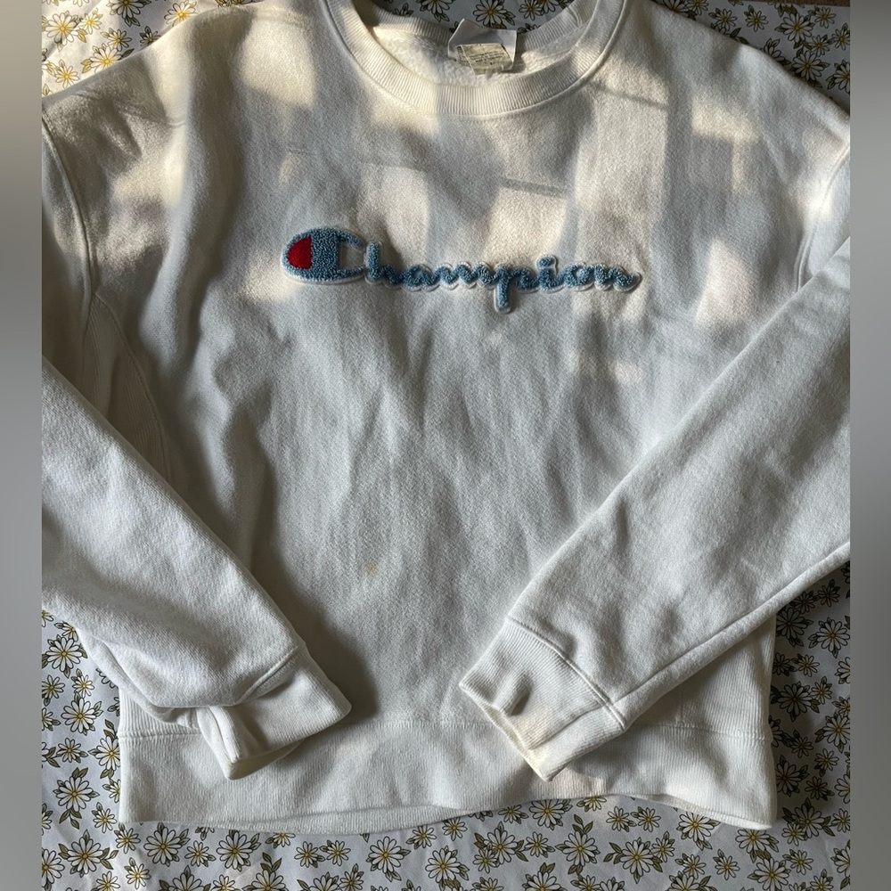 Champion embroidered sweatshirt